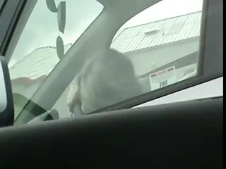 Strapon sunny leone ka hindi nuori bf lähellä uima-allas vilkkuva