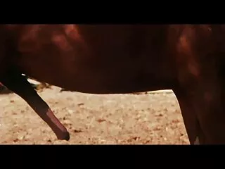 Vihje ja hindi seksikäs Intian video Julkinen Alastomuus sitten hän